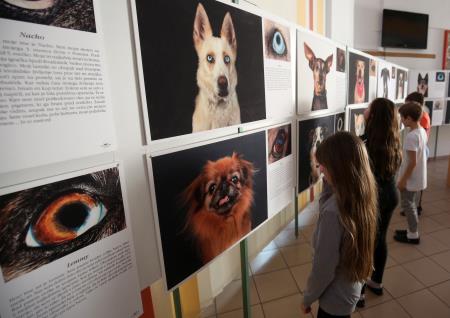 POGLEJ ME V OČI RAZSTAVA V OŠ RAKEK 03 FOTO LJUBO VUKELIČ